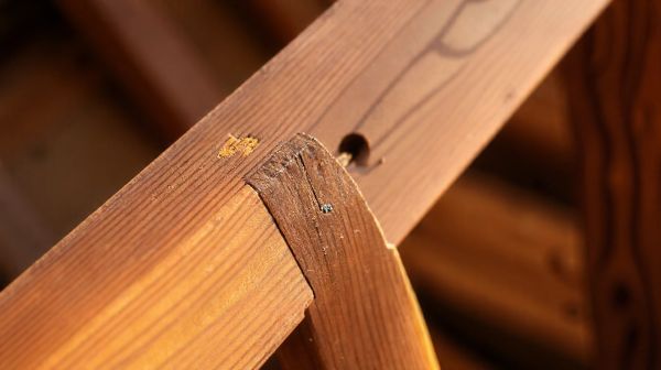 Top 5 cloueurs pour l'ossature bois à considérer pour vos projets
